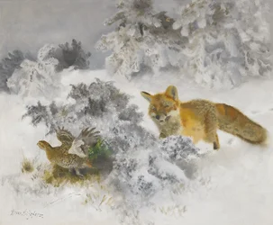 Fuchs und Auerhuhn in Winterlandschaft